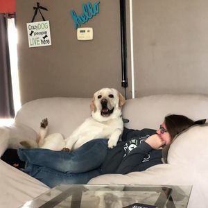 Meet your Posher, Shannon